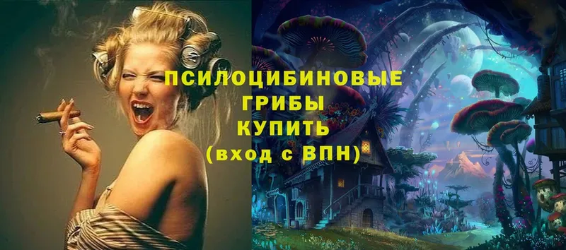 как найти закладки  Кисловодск  Галлюциногенные грибы Magic Shrooms 